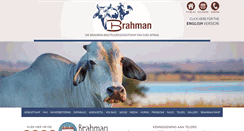 Desktop Screenshot of brahman.co.za